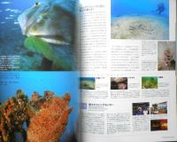 DIVING Photography ダイビングフォトグラフィー　2004年No.20　巻頭特集/Baby Baby・幼魚に会いたい！　マリン企画　h
