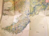 古地図 『新日本鳥瞰図』