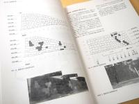 史跡常盤橋門跡-枡形石垣・常盤橋-修理事業報告書