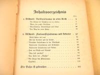NATIONALER SOZIALISMUS IM NEUEN DEUTSCHLAND
