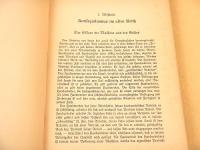 NATIONALER SOZIALISMUS IM NEUEN DEUTSCHLAND