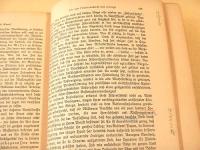 NATIONALER SOZIALISMUS IM NEUEN DEUTSCHLAND