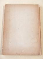 NATIONALER SOZIALISMUS IM NEUEN DEUTSCHLAND