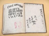 絵本 天一坊実記 全