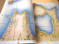 伊能図　東京国立博物館所蔵 伊能中図原寸複製