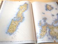 伊能図　東京国立博物館所蔵 伊能中図原寸複製