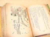 家なき子　（少年少女新選世界名作選集）