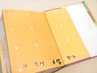 家なき子　（少年少女新選世界名作選集）