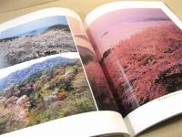 瀬戸の海廊・香川