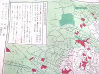 古地図 『開明東京新図』