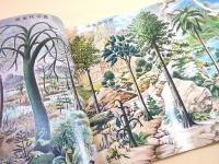 科学大観　第１８号　植物（樹木・海藻・きのこ）特集