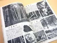 科学大観　第１８号　植物（樹木・海藻・きのこ）特集