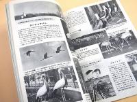科学大観　第１６号　鳥類（野鳥）特集