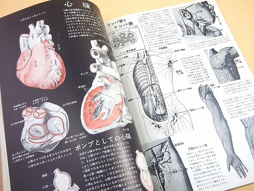 人文科学 Amazon.co.jp: 高等学校 科学と人間生活【科人705】 第一学習社