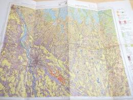 古地図 『前橋 土地利用図』