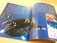 映画パンフレット 『宇宙怪獣ガメラ』