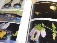 花と虫を愛して 熊田千佳慕の世界展
