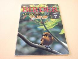 バードウォッチング・マガジン BIRDER バーダー １９９５年７月号