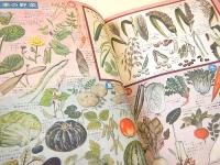 学習植物図鑑