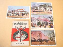 戦前絵葉書 『平和記念東京博覧会実況絵葉書 ２２枚セット』