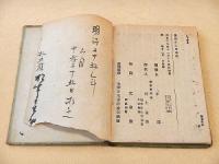 護国女太平記 全