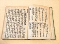護国女太平記 全
