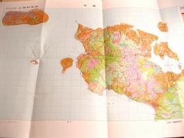 古地図 『名護　１：５００００土地利用図』