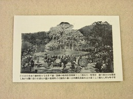 戦前絵葉書『京都 丸山公園の桜』