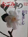 なごみ　茶のあるくらし　12月号