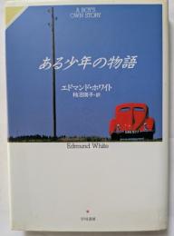 ある少年の物語