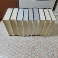 Leonard Nelson Gesammelte Schriften 全9冊揃
 レオナル・ドネルゾン 著作集