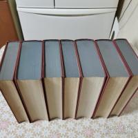 Arthur Schopenhauer Sämtliche Werke 全7冊揃 
 ショーペンハウアー全集