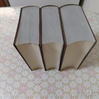 Friedrich Theodor Vischer ：Ästhetik : oder, Wissenschaft des Schönen 
 全3冊揃 フィッシャー 美学あるいは美の科学 