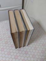 Relação anual das coisas que fizeram os padres da Companhia de Jesus nas suas missões 全3冊揃 フェルナン・ゲレイロ 日本中国耶蘇会年報