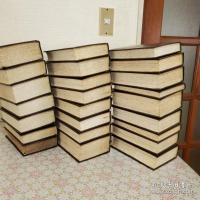 Da Asia de João de Barros e de Diogo de Couto全24冊揃
 アジアについて （ジョアン・デ・バロス ディオゴ・ド・コウト）