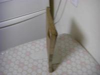 滄溟先生尺読 上中下巻 全1冊