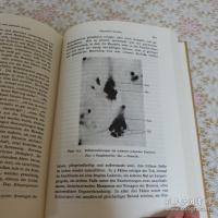 Psychiatrie : ein Lehrbuch für Studierende und Ärzte von Emil Kraepelin
全4冊揃 エミール・クレペリン 精神医学教科書