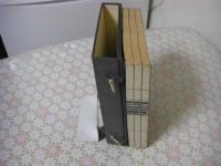 蘆洲遺稿　1帙3冊揃