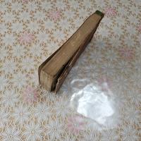 道中記 : 附・東京四日廻（東京周辺の四日間の巡回ルートを含む実用的な旅ガイド）