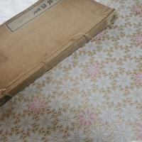 龍歌故語箋（朝鮮古語研究書）