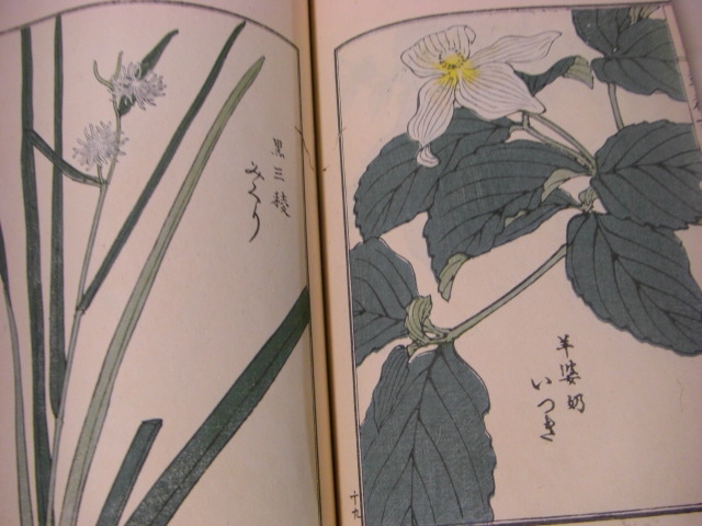 ＼半額SALE／ 草花百種 全4冊揃い(幸野楳嶺、) 古本、中古本、古書籍の通販 / 語学・辞書・学習参考書
