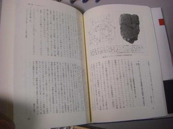 岩波書店 世界史史料 全12冊揃い(歴史学研究会) / 古本、中古本 岩波書店 世界史史料 全12冊揃い(歴史学研究会) / 古本、中古本