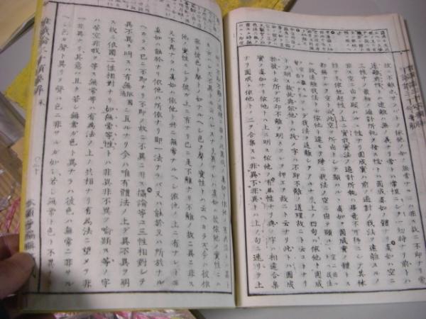 悟りへの道『唯識三十頌』『頓悟要門』解読の足跡 文学・小説