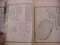 産科発蒙 全4冊揃