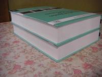 International monetary relations in the new global economy 2冊揃
The international library of writings on the new global economy