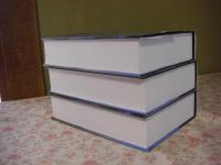 Behavioral finance 3冊揃
The international library of critical writings in financial economics