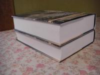 Financial forecasting 2冊揃
The international library of critical writings in financial economics