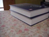 Developing and newly industrializing countries 2冊揃
The globalization of the world economy