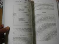 Pierre Bourdieu 4冊揃