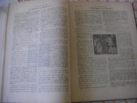 英語倶樂部 (The English club) 1-8巻 6冊揃